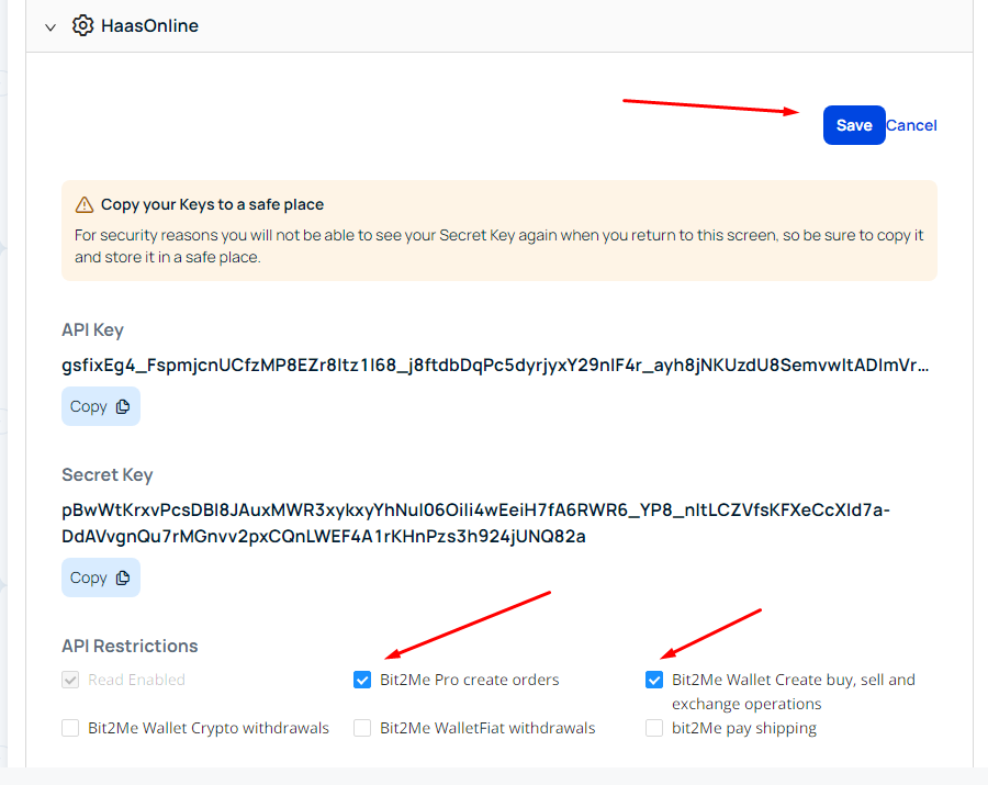 Cryptocurrency trading platform HaasOnline dashboard with API key, Secret Key, and API Restrictions details displayed.