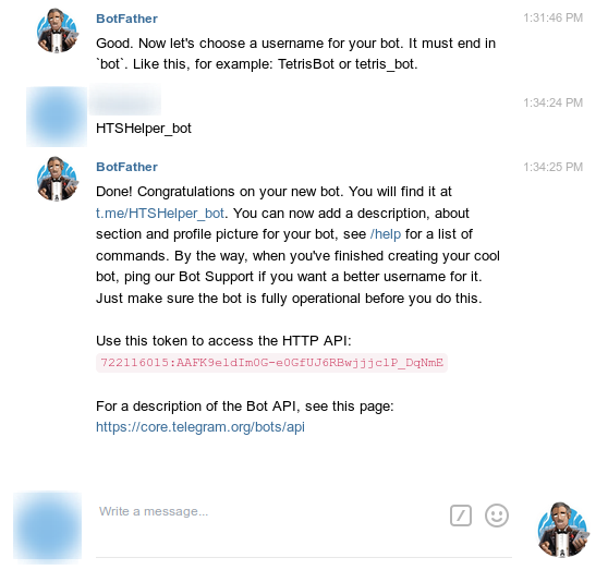 Telegram chat interface showing instructions for configuring a bot with a unique username and accessing its HTTP API